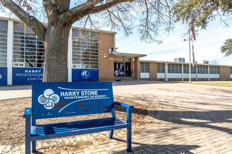 harry stone montessori academy|More.